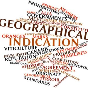 geographical indication essay